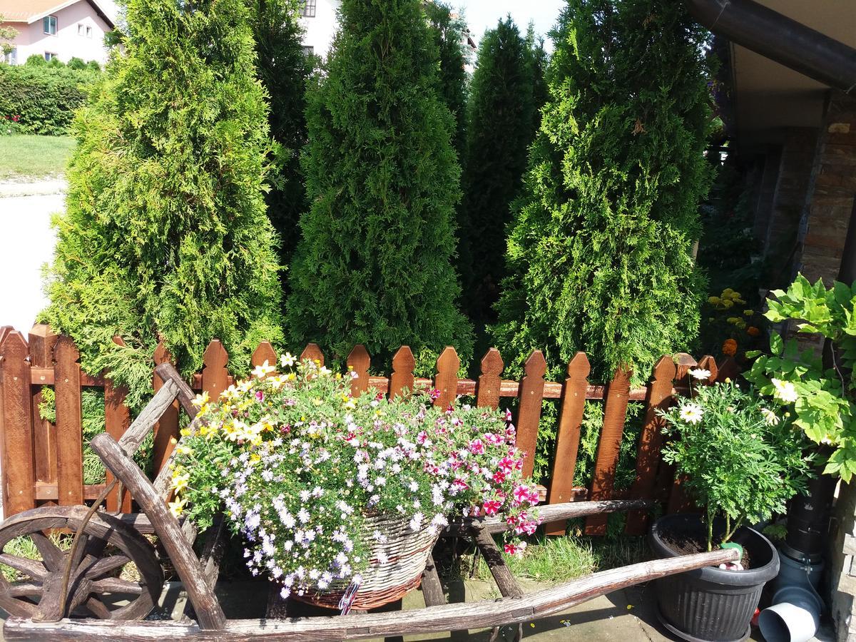 Centar! Lara Zlatibor Apartment ภายนอก รูปภาพ