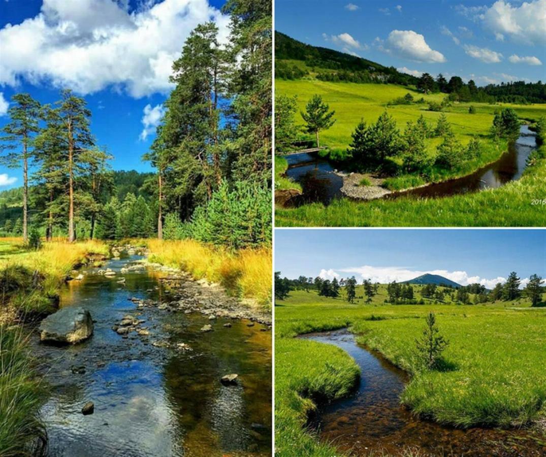 Centar! Lara Zlatibor Apartment ภายนอก รูปภาพ